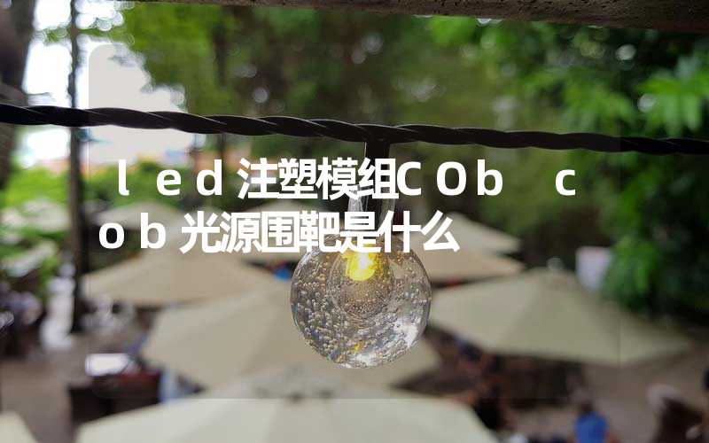 led注塑模组COb cob光源围靶是什么